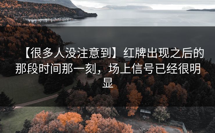 【很多人没注意到】红牌出现之后的那段时间那一刻，场上信号已经很明显